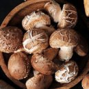 번덕농장 이미지