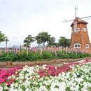 곡성-001 이미지