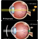 씨채널안경전주신시가지점 이미지
