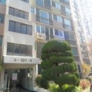 사파동239 이미지