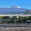 강정동-21 이미지