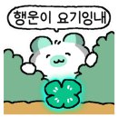 에브리바디빈티지 이미지