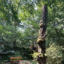 고산골 공룡공원 쿨 네이버블로그