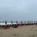 동해를 그리다 이미지