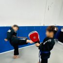 합기도 백호 체육관 이미지