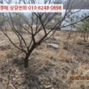 시우보건진료소 이미지