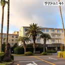 돔베리조트 | 제주 숙소 켄싱턴리조트 서귀포 내돈내산 솔직 이용 후기 (객실, 가격, 조식)