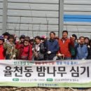 밤밭골
