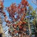 금강어린이공원 이미지