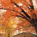 황토현농장 이미지