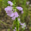 (재)극동방송 이미지