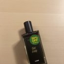 더티버그