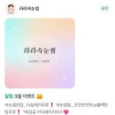 역대급으로 맘에 들었던 사직동 속눈썹펌 라라속눈썹 후기