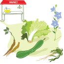 건강마트 이미지