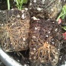 내유농장 이미지