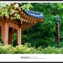 한주동안 이미지
