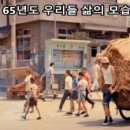 고래별장 네이버블로그