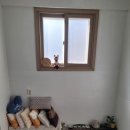 나비잠 모텔 이미지