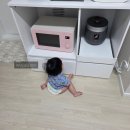 우당탕탕 일상 속 번아웃 중