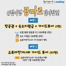 드림 유로 투어