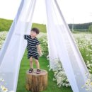 카페5157 이미지