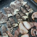 여기야생고기 이미지