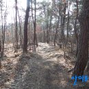 용산-244 이미지