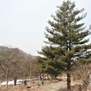 두산3리마을회관 이미지