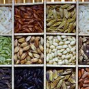 원당경희한의원 이미지