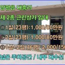 양평읍 내 중앙로 이미지