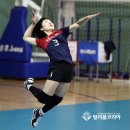 에이스전산 이미지