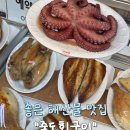 죽도회