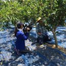 아리울농장 이미지