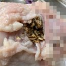 하림통닭 네이버블로그