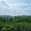 가평옛길 이미지