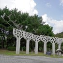 홍수 조절지 주차장 이미지