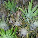 종기농장 이미지