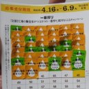 대지로1L 이미지
