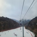 무주 스키장 평일 당일치기, 가성비렌탈 그리고 주변카페 정보
