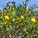 물댄동산 통나무펜션 이미지