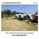 별빛숲캠핑바베큐 | 강화도 야외 맛집 추천｜별빛숲캠핑바베큐 식사 후기 (가격·분위기)