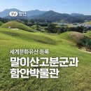 문화유산 - 가야 문명의 길 ﻿⑧ 함안 말이산 고분군 이미지