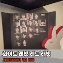 [후기/시야] 연극 화이트 래빗 레드 래빗(흰토빨토) 정원영 후기, 최악의 관크, 세종S씨어터 시야, 무대...