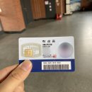 청기와회집 | [대학생 일상 blog] 벚꽃 캠퍼스 투어 | 백종원의 골목식당 부천 대학로 🏫 | 줌 강의 수업 후기🧑🏻‍💻