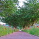 정동1교 이미지