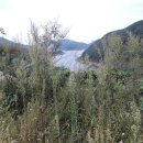 대장금마실길(4코스) 이미지