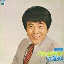 그리움은 가슴마다 / 홍세민 (1975) 이미지