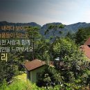 금당아트 밸리 이미지