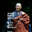 종점 Daum카페