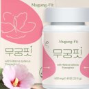 무궁화 다이어트(무궁핏) 부작용 비만개선 효과는 얼마나?